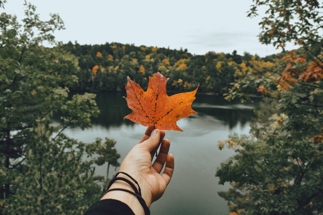 Why We Chose the Forest for Our First Ritual Capsule