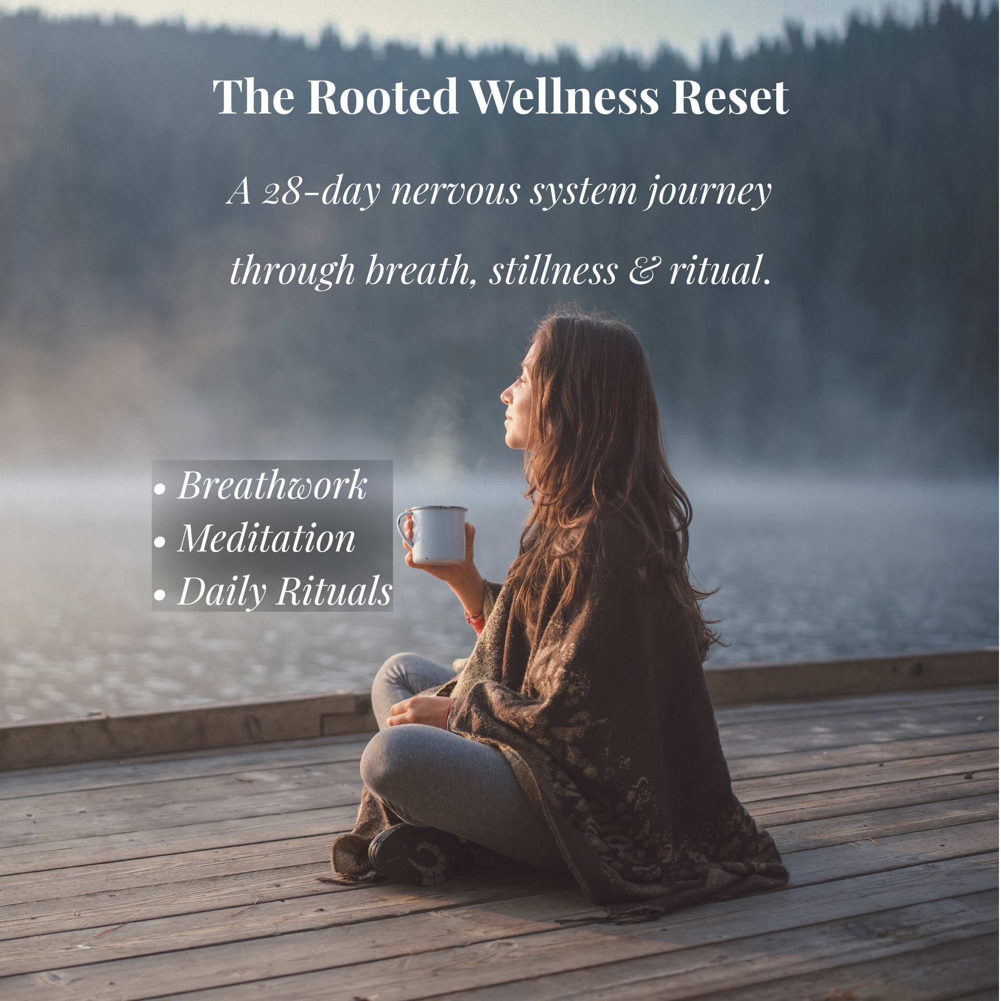 The Rooted Wellness Reset